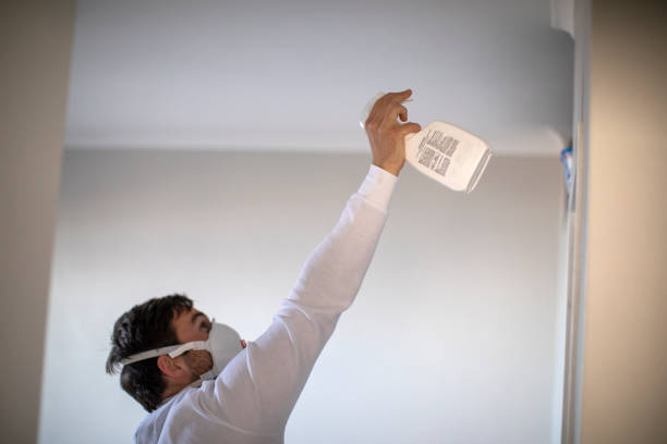 Best White Mold Remediation in Brookhaven, PA